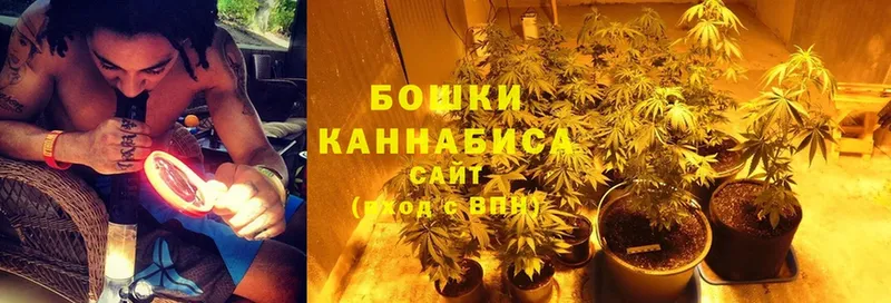 как найти   Усолье-Сибирское  Каннабис White Widow 